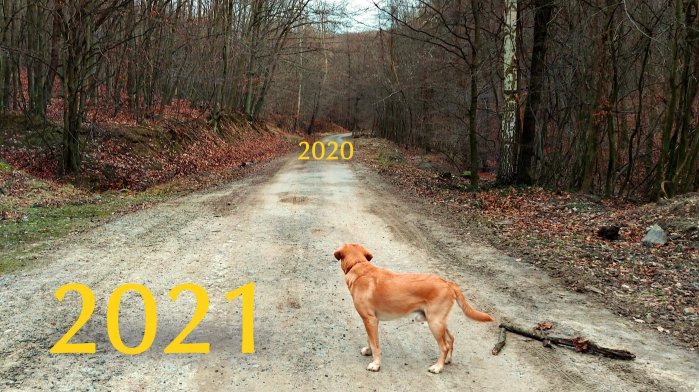 O tichu a dimenzii „My, všetci“ O tichu a dimenzii „My, všetci“