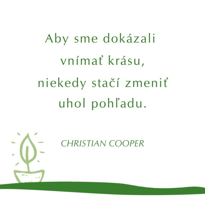 Vnimat krasu